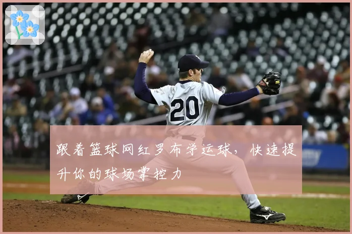 跟着篮球网红罗布学运球,快速提升你的球场掌控力