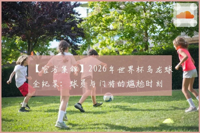 【官方集锦】2026年世界杯乌龙球全纪录：球员与门将的尴尬时刻