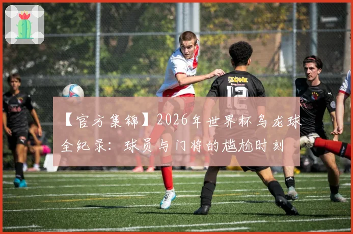 【官方集锦】2026年世界杯乌龙球全纪录：球员与门将的尴尬时刻